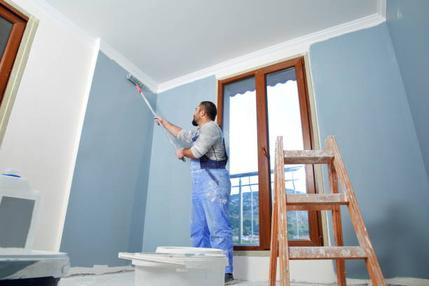 Best Drywall Sanding and Smoothing  in Maple Park, IL